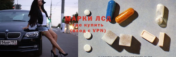индика Баксан