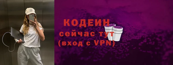 индика Баксан
