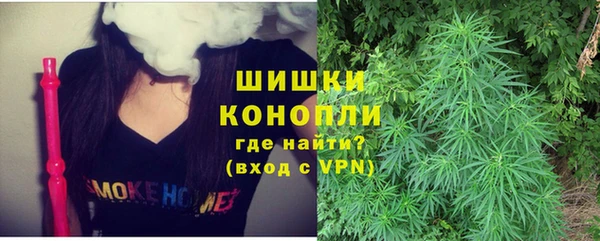 индика Баксан