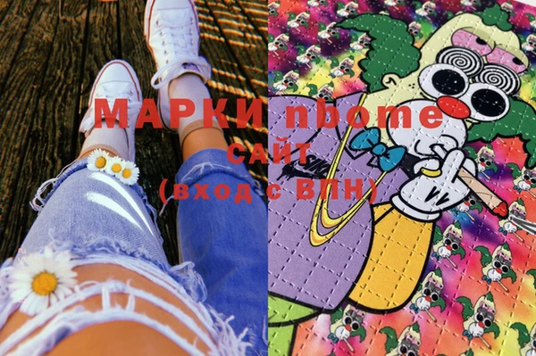 индика Баксан