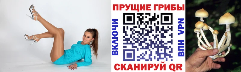 KRAKEN ТОР  Ленск  Псилоцибиновые грибы ЛСД 