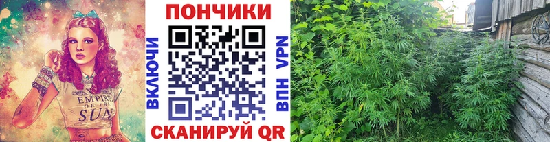Каннабис SATIVA & INDICA  наркотики  Ленск 